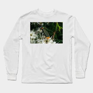 Jewel Beetle Eating Nectar Long Sleeve T-Shirt